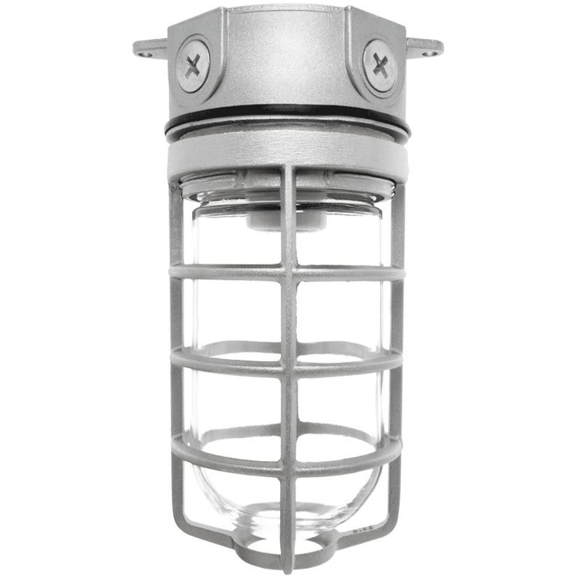 RAB VX100DG VX Series HID Outdoor Vaporproof Light Fixture,) A-19 Incandescent Lamp, 120/208/240/277 VAC, Natural Housing